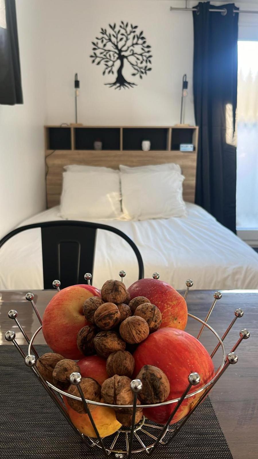 Studio Aux Pieds Des Vignes Eguisheim Extérieur photo